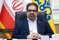 پیام تبریک معاون وزیر نفت و مدیرعامل شرکت ملی گاز ایران به مناسبت روز خبرنگار